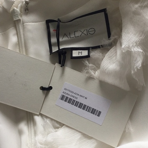 Alexis Azura V-Neck Dress - Picture 8 of 8